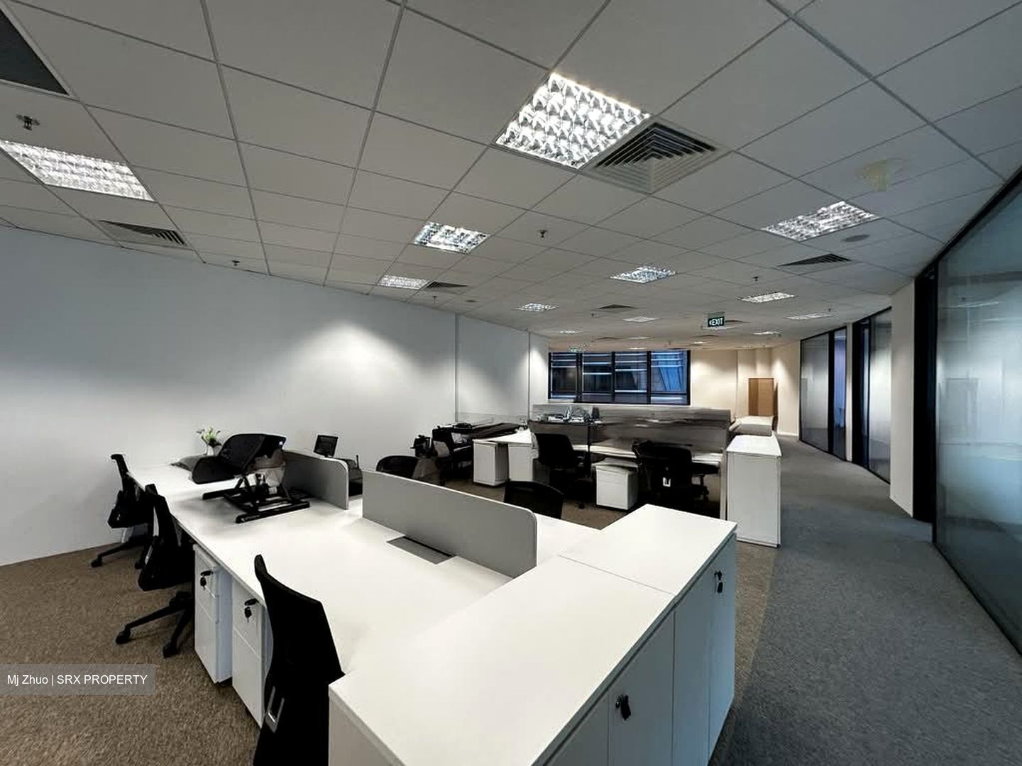PLUS (D1), Office #543093761